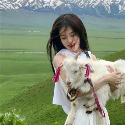 权力游戏